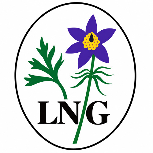 2. Gesamtvorstand des LNG (Lehrte)